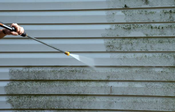 Best Roof Power Washing Services  in Paducah, KY